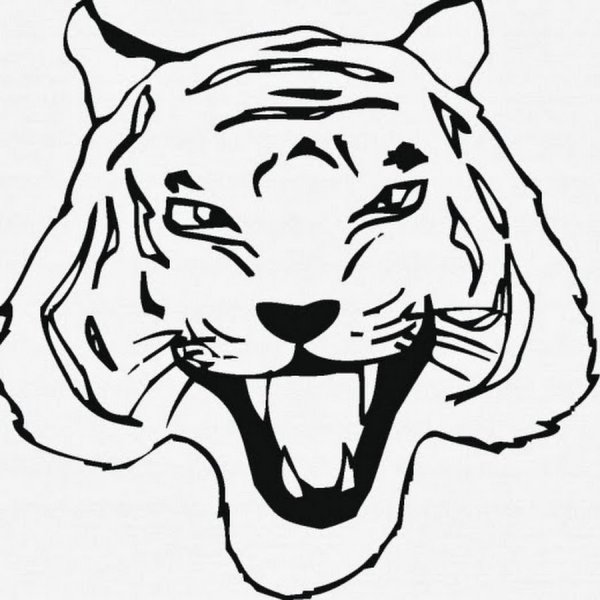 Лицо тигра раскраска