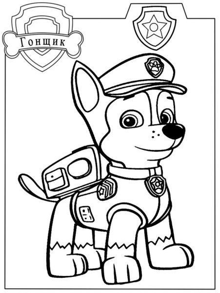 Щенячий патруль Рокки и гонщик раскраска