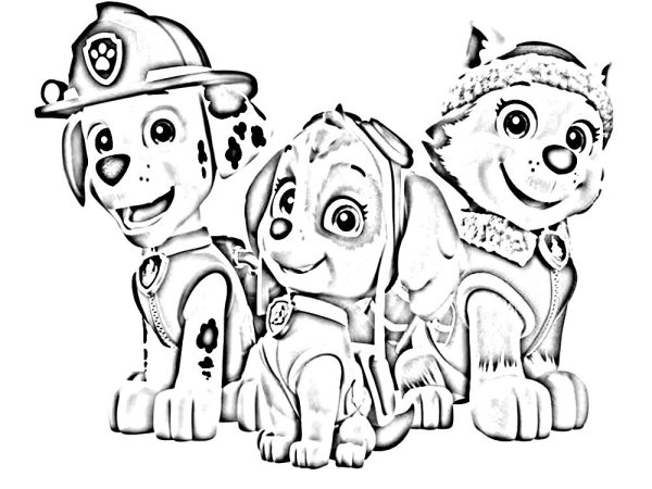 Алекс Щенячий патруль раскраска