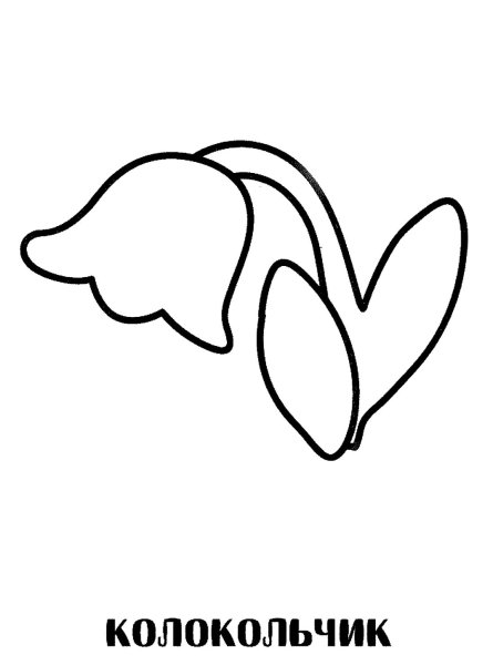Раскраска цветов колокольчик