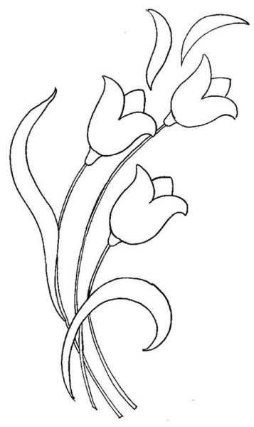 Раскраска колокольчик цветок