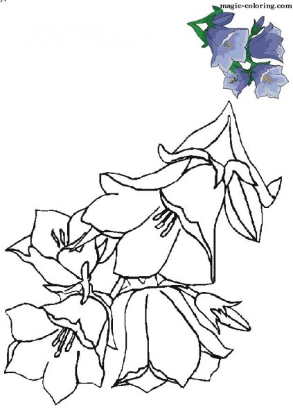 Колокольчик карандашом