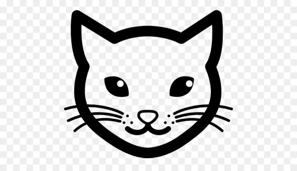 Контур кошачьей морды