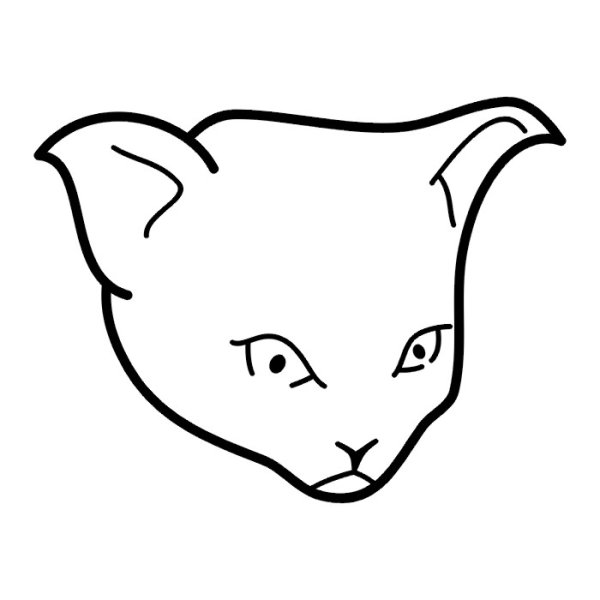 Эскиз кошачьей морды