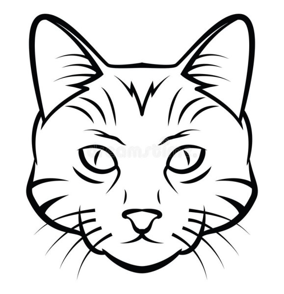 Контур кошачьей морды