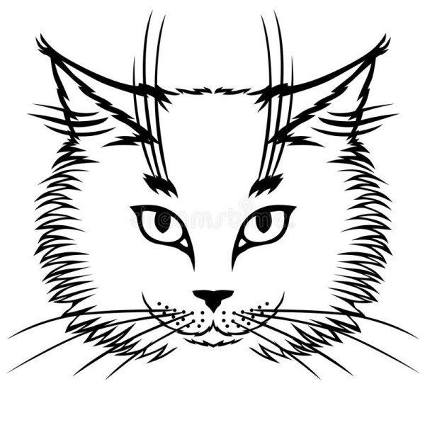 Кошачья морда для выжигания