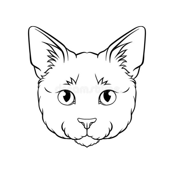 Голова кошки раскраска