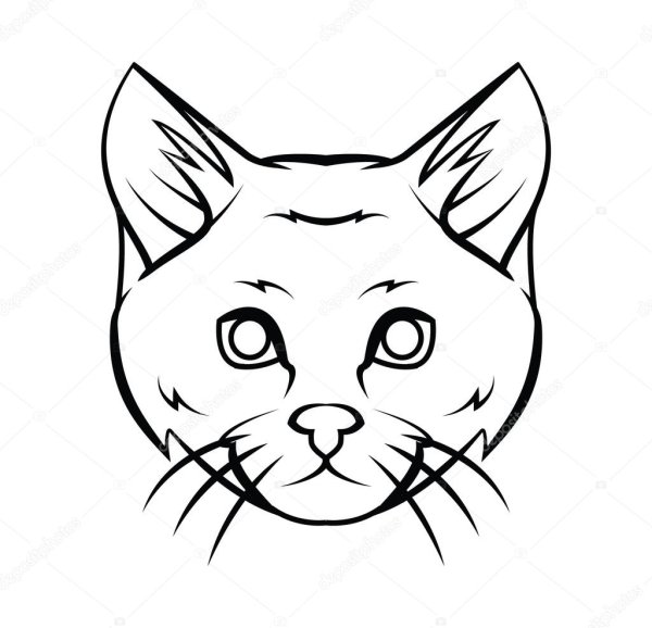Контур лица кота
