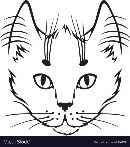 Морда кота схематично