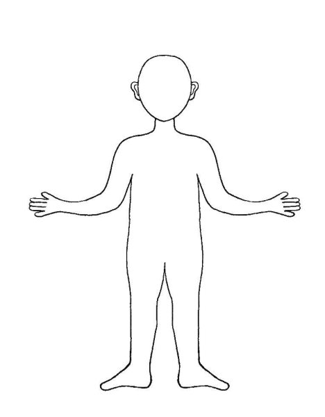 Очертания женской фигуры