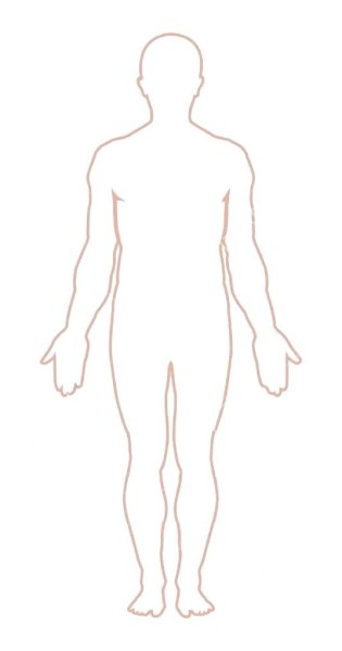 Контур головы