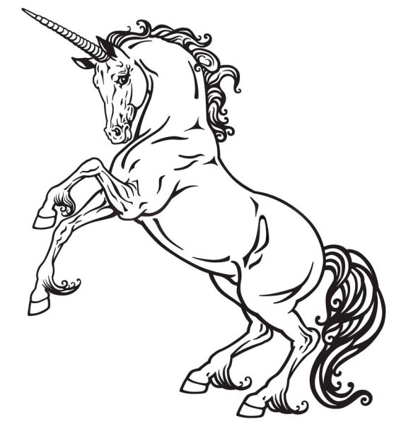 Лошадь на дыбы для выжигания