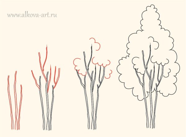 Рисуем куст