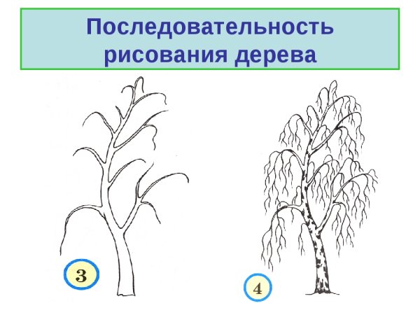 Последовательное рисование дерева