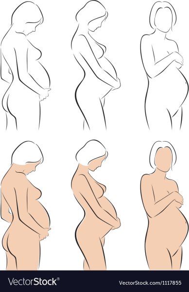 Беременная референс