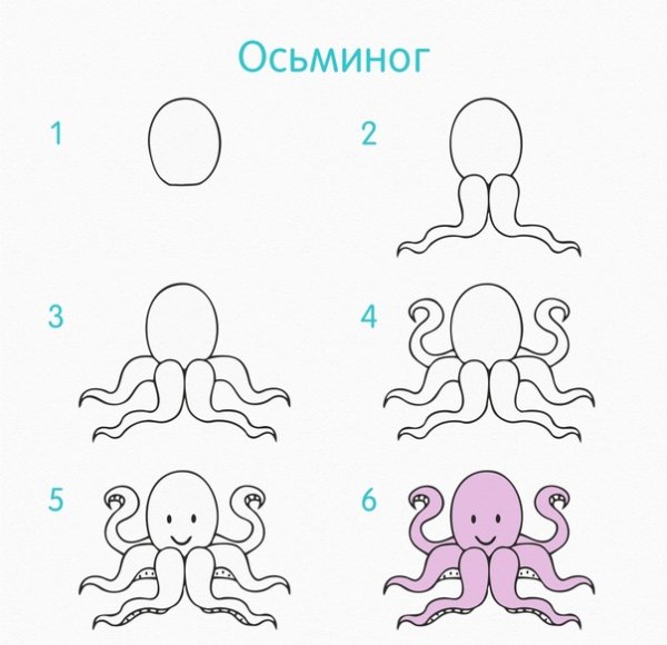 Рисуем морских обитателей пошагово для детей