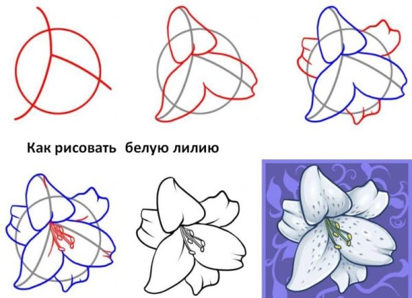 Схема рисования цветов