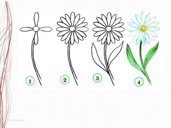 Рисование василька пошагово