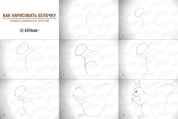 Белка рисунок пошагово