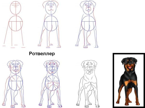 Хоккеист и балерина 3 класс изо