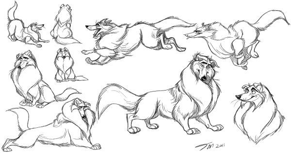 Собака колли референс