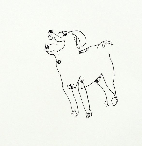 Рисунок колли одной линией