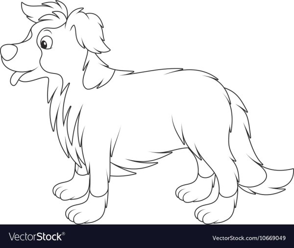 Трафарет колли