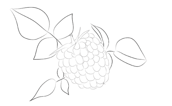 Рисование малина