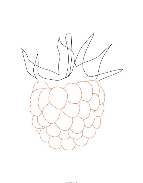 Малина гуашью