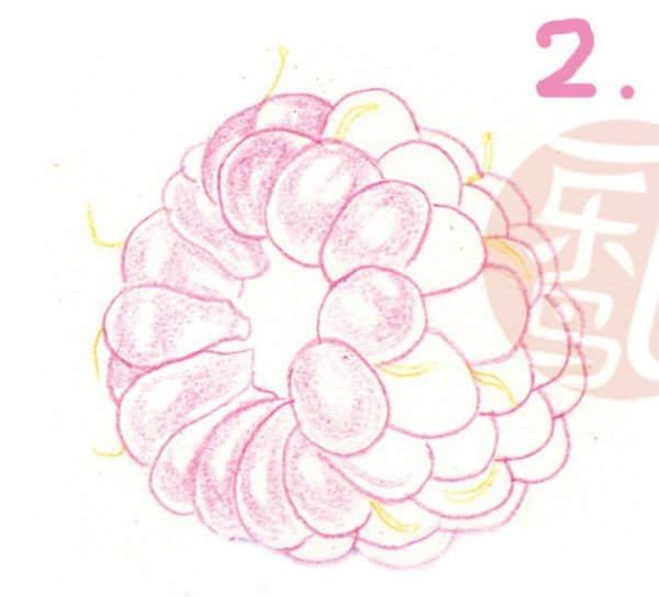 Поэтапное рисование ягоды для детей