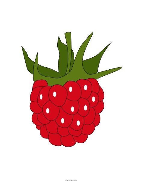 Кустарник раскраска