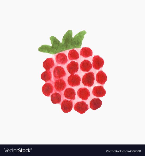 Лист малины раскраска для детей