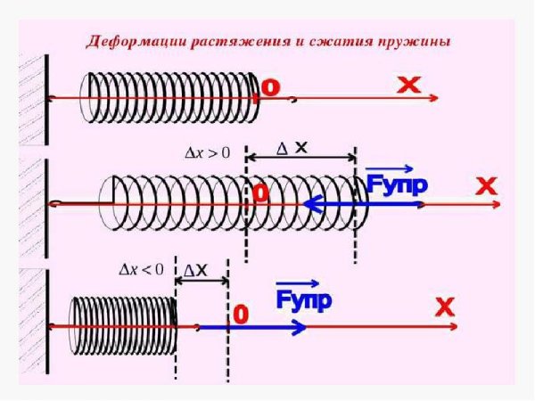 Сила упругости при растяжении пружины