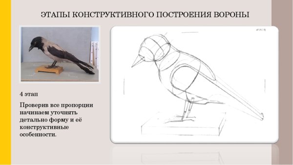 Этапы построения вороны