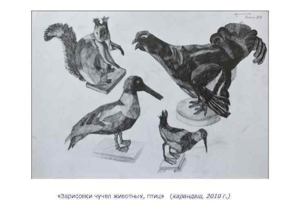 Конструктивная зарисовка чучела птицы