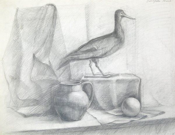 Этюд чучела птицы гризайль