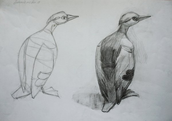 Чучело птицы для рисования