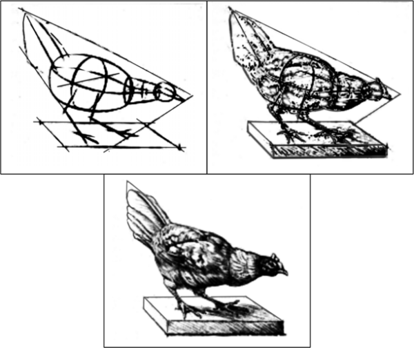 Академический рисунок чучела птицы