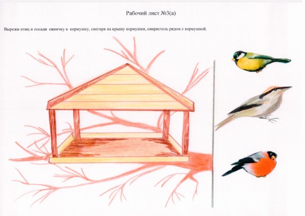 Найди в тексте описание красивых чудесных птиц нарисуй словесную картину