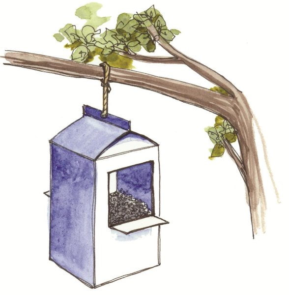 Рисование птицы на кормушке