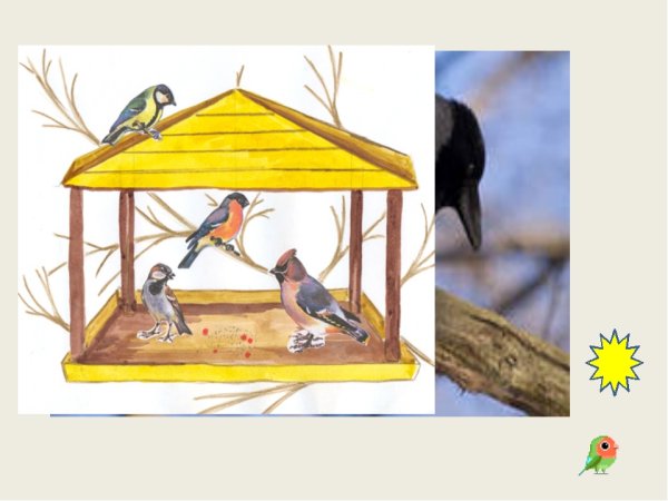 Рисунок кормушка с птицами 2 класс