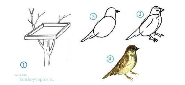 Рисуем кормушку для птиц поэтапно