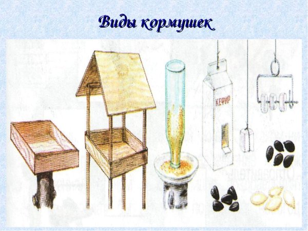 Виды кормушек для птиц