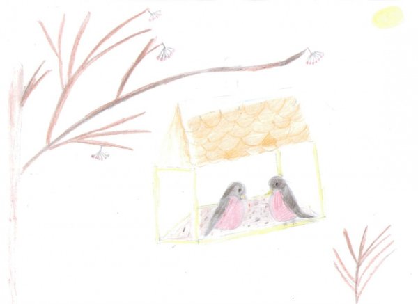 Птичка в кормушке рисунок