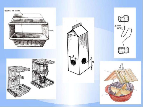 Кормушка на уроке технологии