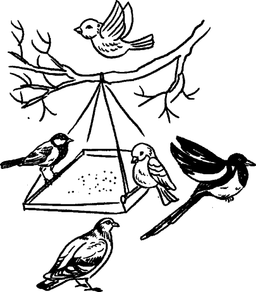 Кормушка для птиц раскраска