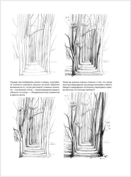 Уроки графики карандашом для начинающих