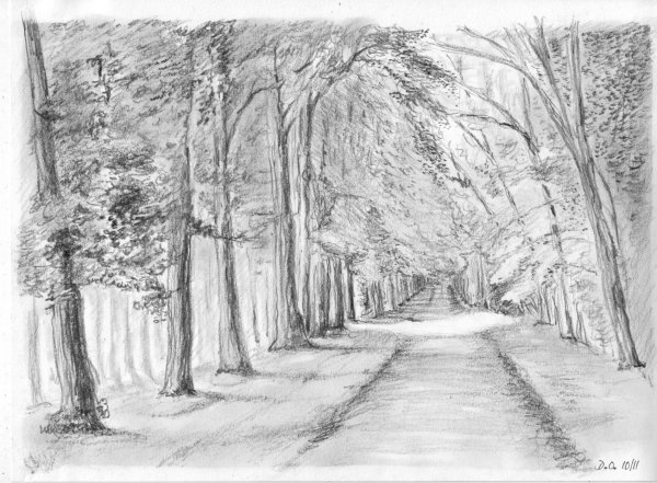 Парковый пейзаж в графике