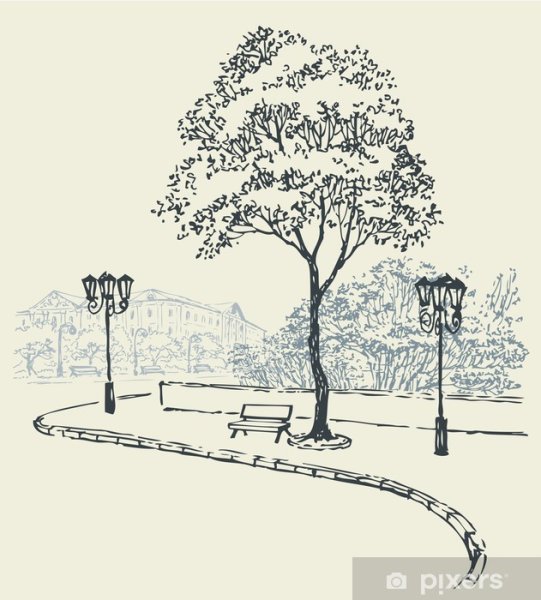 Зарисовки парков с деревьями