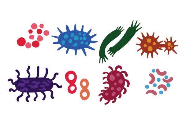 Рисование бактериями